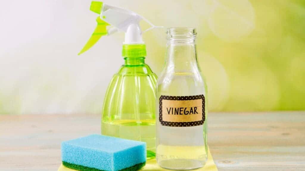 A view of vinegar with a spray bottle and a scrubber