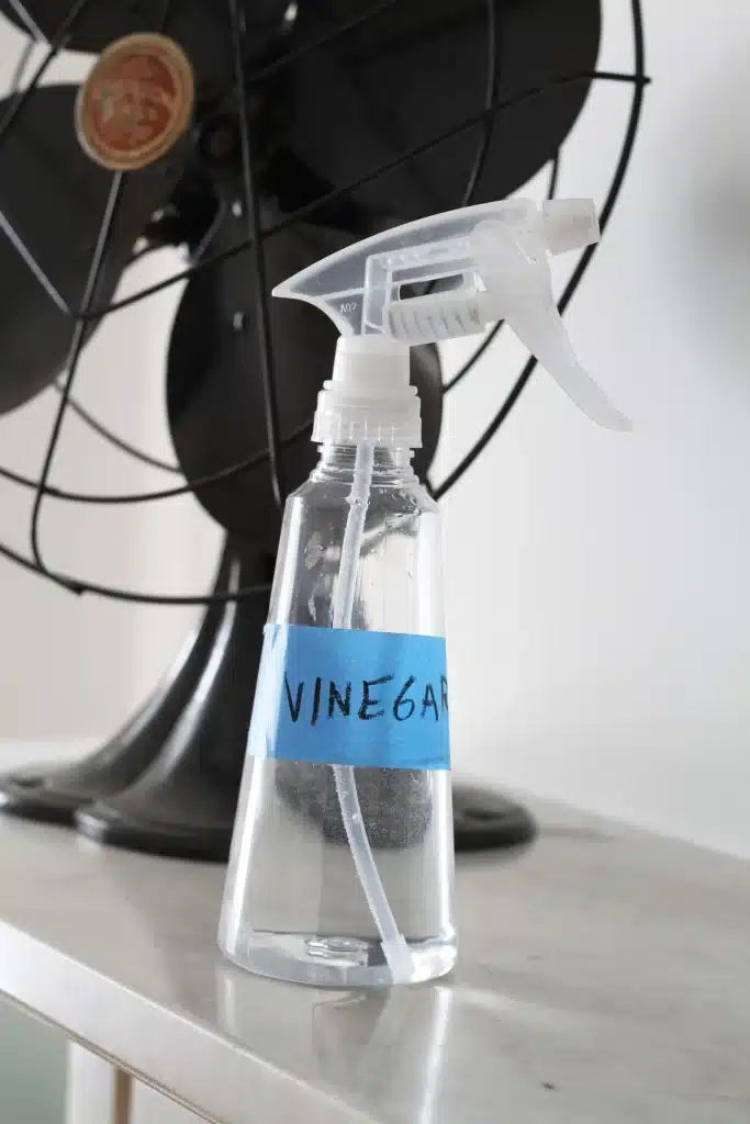 Vinegar in a spray bottle