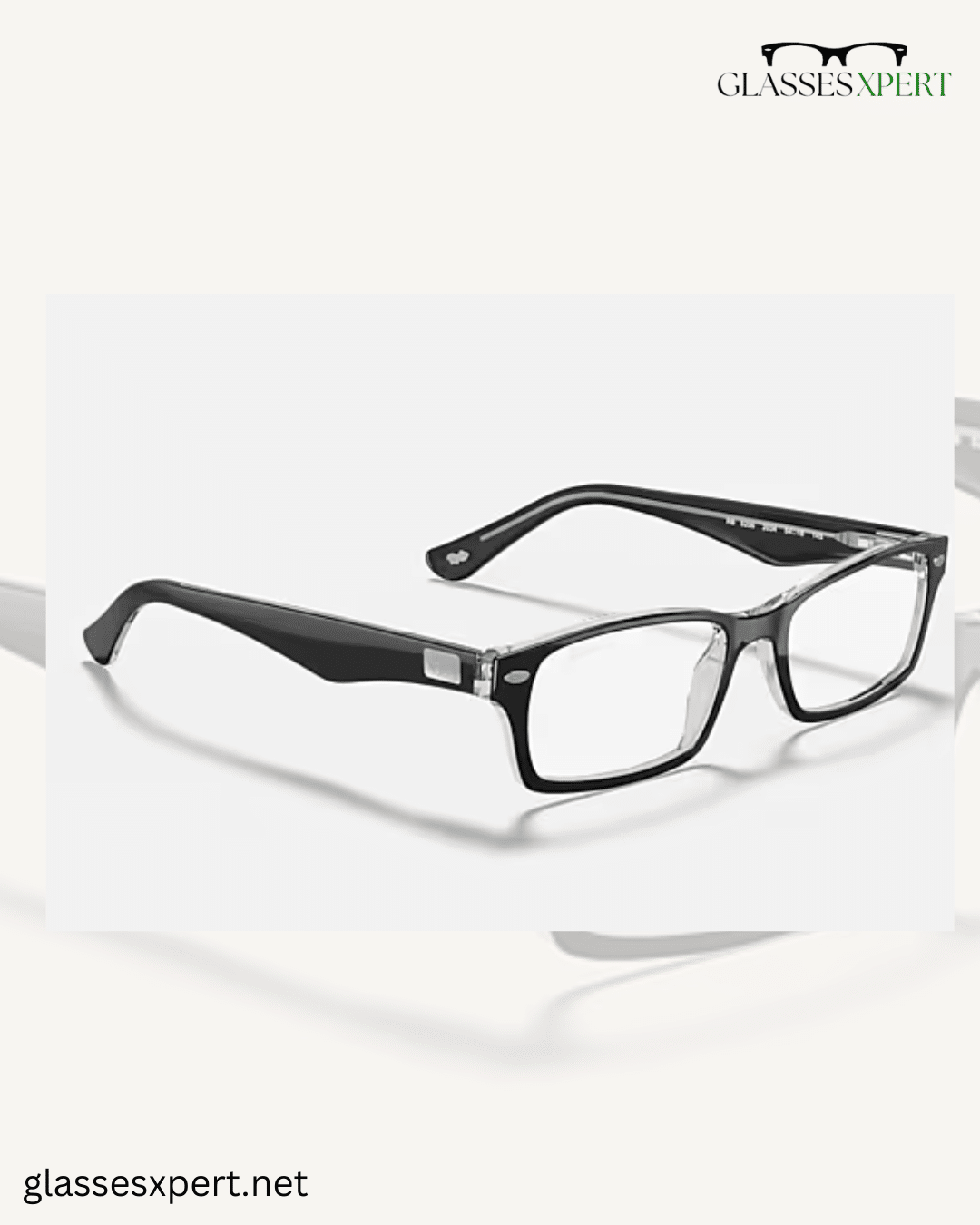 Ray Ban RB